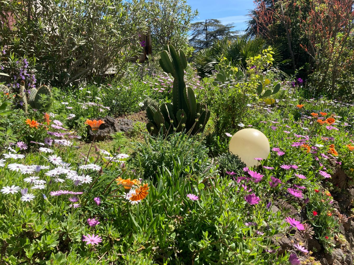 Villa PaulAna jardin fleuri Villa PaulAna chambres d'hôtes naturistes Cap d'Agde, jardin fleuri